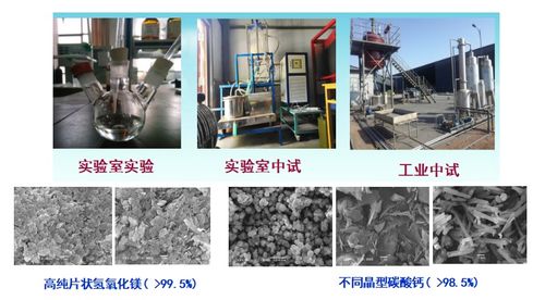 電石凈化灰渣資源化利用制備高純氧化鎂和碳酸鈣技術與非常規(guī)水源利用技術研發(fā)